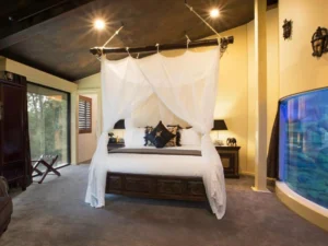 Jamala Wildlife Lodge